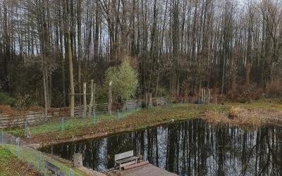 Баня В кустах, в Гродно, д. Жукевичи, 1А |  | 101sauna.by