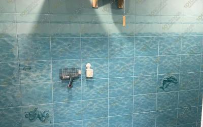 Дом-баня Жемчужина в Клейниках, в Бресте, Центральная, 88 |  | 101sauna.by